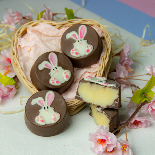 FORMA ESPECIAL TRAD. - PÃO DE MEL PEQUENO COELHO 1UNI BWB