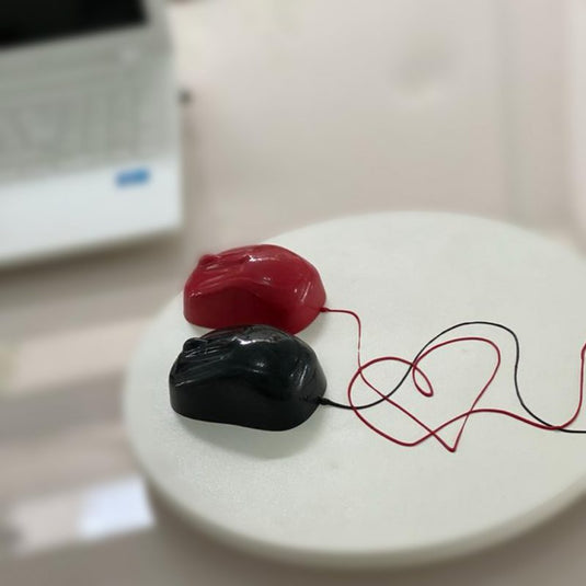 FORMA ESPECIAL TRAD - MOUSE - RATO 1UNI BWB